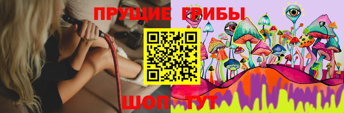 Феодосия  где продают наркотики  Вход с VPN  Галлюциногенные грибы Cubensis 
